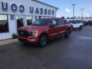 2023福特F-150 XLT