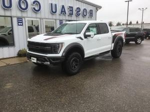 2023福特F-150猛禽